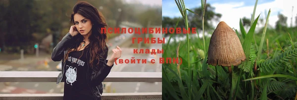 спиды Володарск