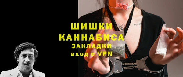 прущие крисы Вяземский