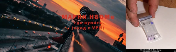 прущие крисы Вяземский
