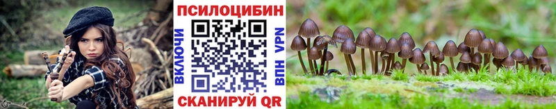 Галлюциногенные грибы Cubensis  Купить закладки  Усолье-Сибирское 